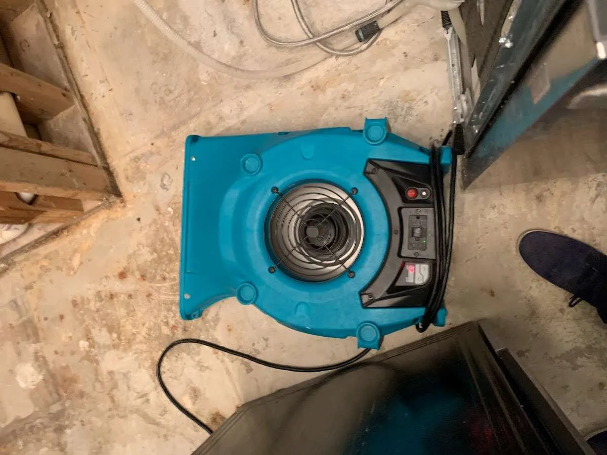 Air mover drying equipment for Mold Remediation & Removal in Highwood